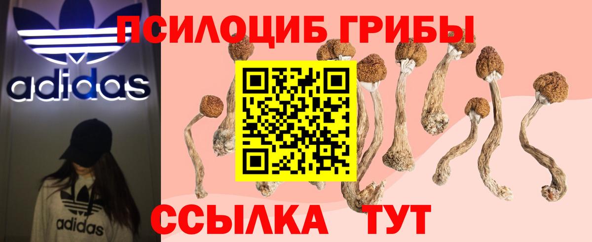 Псилоцибиновые грибы мухоморы Благовещенск
