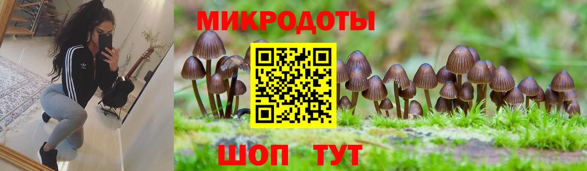 Благовещенск  Галлюциногенные грибы мухоморы  Вход с VPN 